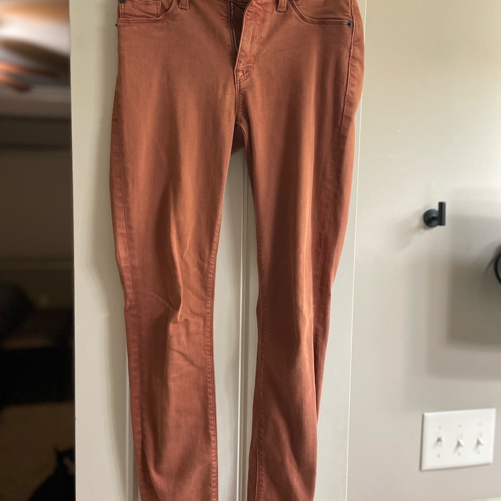 Hudson Rust Orange Skinny Jeans